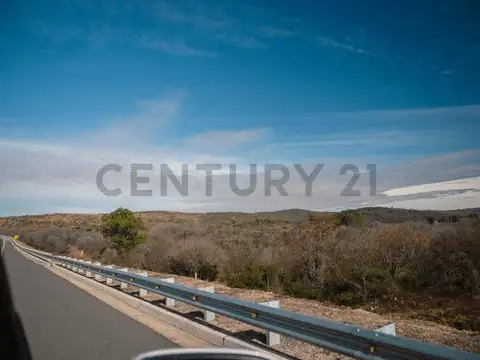 Autovia Punilla 100