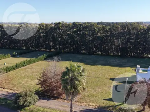 2.450 m² en Venta - Dos lotes independientes - Barrio Driving Golf – San Pedro, Buenos Aires