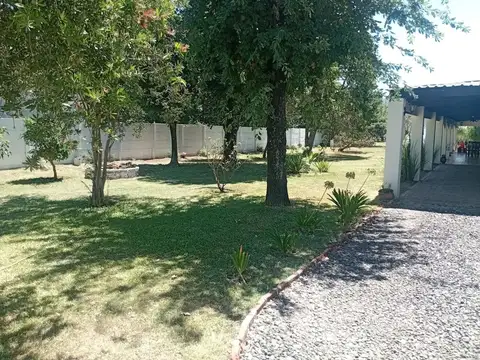 Chocho Vivanco 400