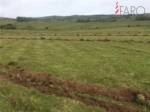 Chacra de 5.5 hectáreas en Venta muy cerca de Pueblo Edén