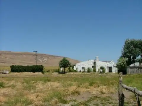 5000 has. El Huecú - Neuquén 100