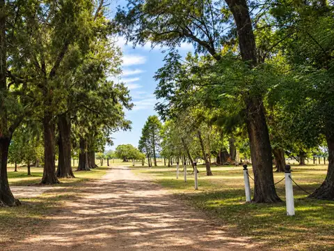 VENTA LOTE TERRENO  LOS 3 PINOS GENERAL RODRIGUEZ