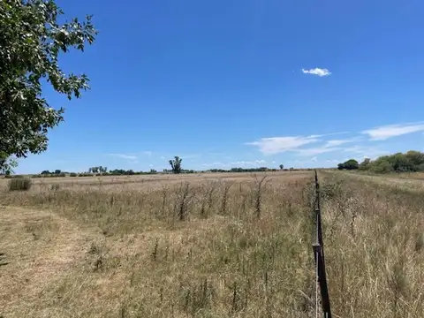 Campo en Venta de 77  ha