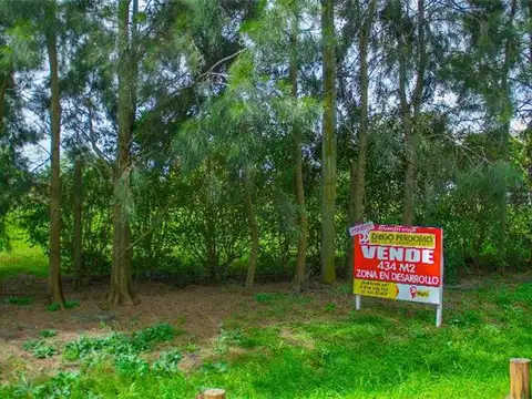 434 m², Libertad. Zona Pintoresca