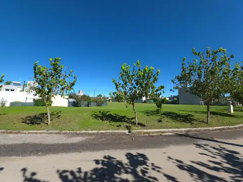 Lote a la venta en Tejas 4. (L362)