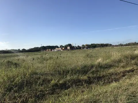 Terreno en Venta de 10000,0 m2