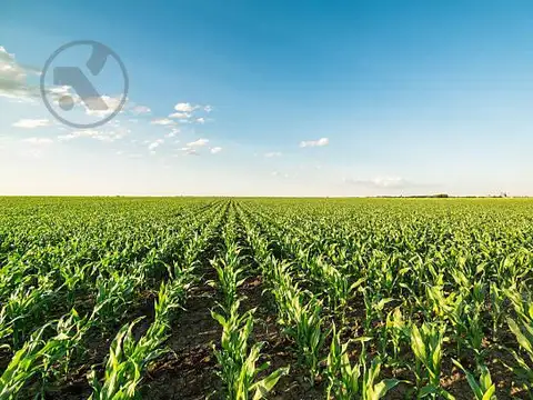 94 HA AGRÍCOLAS A 20 MIN DE MAR DEL PLATA | CASCO HISTÓRICO | A 1000 MTS DE RUTA 88