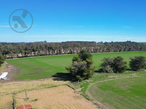 94 HA AGRÍCOLAS A 20 MIN DE MAR DEL PLATA | CASCO HISTÓRICO | A 1000 MTS DE RUTA 88
