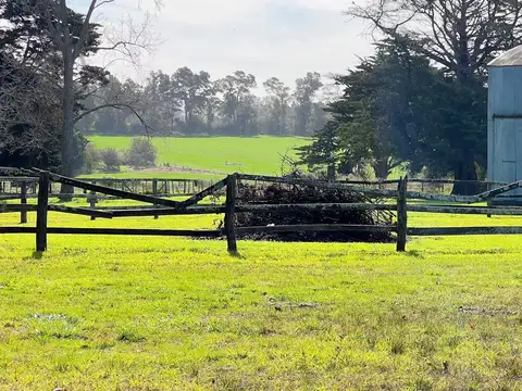 94 HA AGRÍCOLAS A 20 MIN DE MAR DEL PLATA | CASCO HISTÓRICO | A 1000 MTS DE RUTA 88
