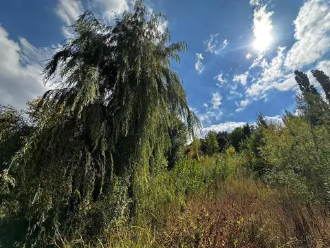 Terreno en Venta de 853,0 m2