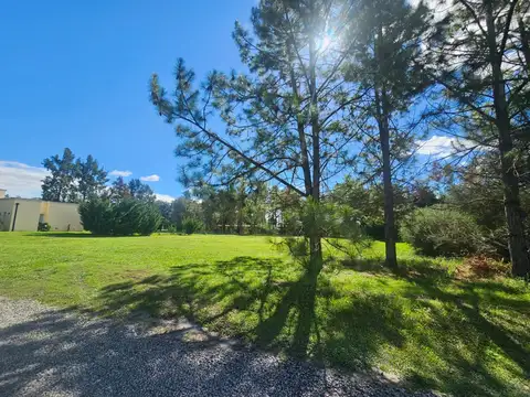 Lote 201. Barrio Santa Irene, Comarcas de Luján.