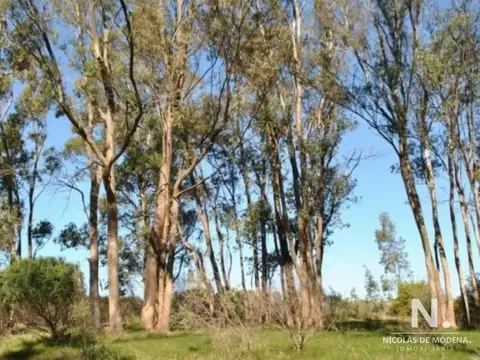 Terreno en Venta de 1578,0 m2