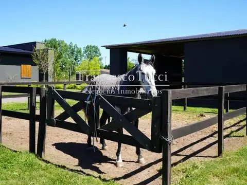 Caballeriza de categoría en venta Argentino Farm Club
