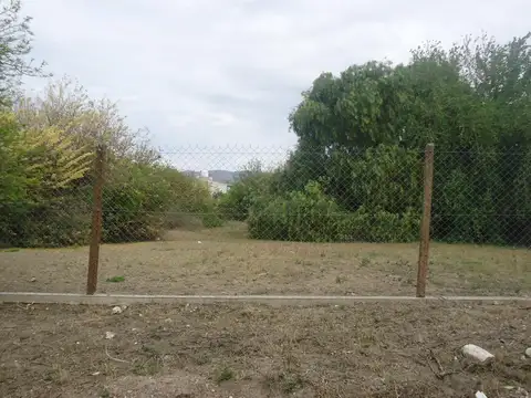 Terreno en Venta 50  mts Fondo