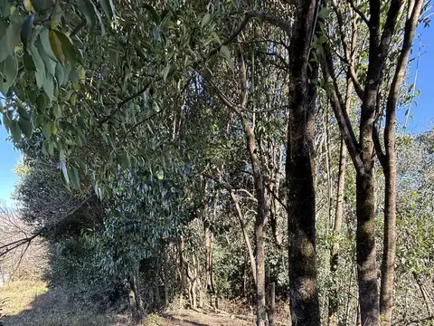 Terreno en Venta en Los Zarzos De San Lorenzo, USD 90.000