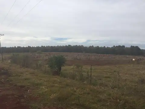 Terreno en Venta de 55000,0 m2