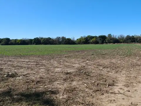 Venta gran Campo sobre Valparaiso 8 Has Escritura!