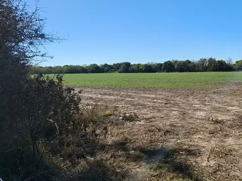 Terreno en Venta de 80000,0 m2