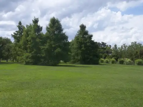 Rio / Arroyo Capitán y Pacífico 100