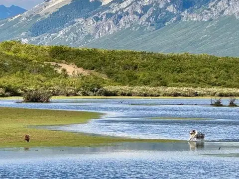 UNIDAD F188 LA BALCONADA