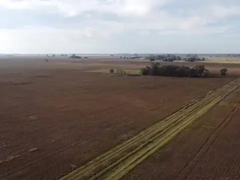 Campo de 21 Has agricolas con mejoras en venta en Carlos Keen – Pdo. de Lujan