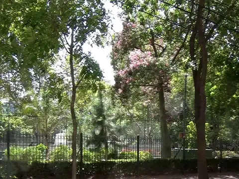 OPORTUNIDAD! GALPÓN/DEPÓSITO, SÓTANO Y COCHERA!