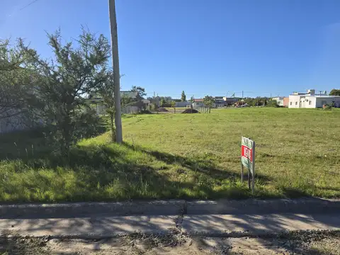 Lote en Oasis de Oro Verde de 15 x 40