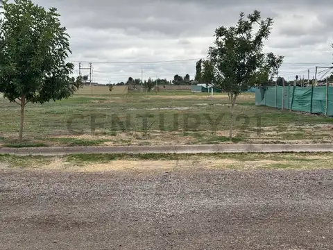 Terreno en Venta de 300,0 m2