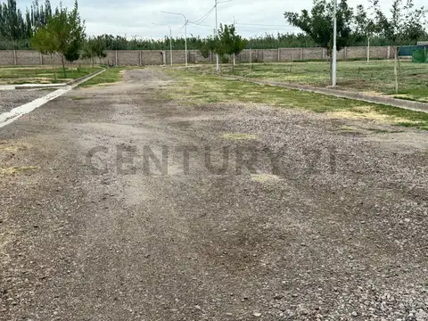 buena nueva , Piso 0