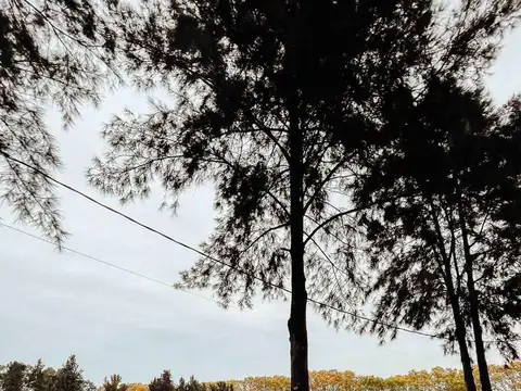 Estancia Las Malvinas II - Barrio de Chacras