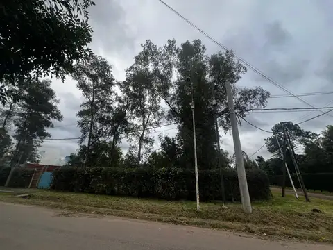 Terreno en Venta 24  mts Fondo