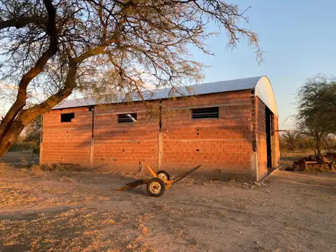 Campo en Venta de 252  ha