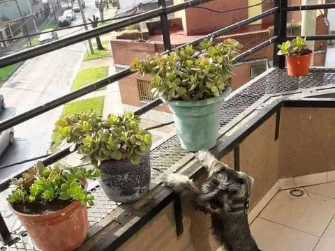 Departamento en Venta en Pablo Podesta, USD 44.000