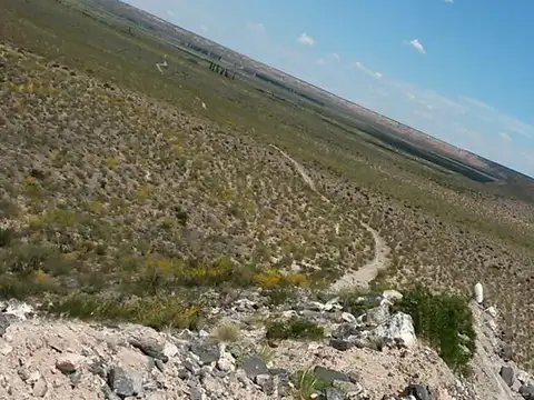 Campo 540 HA Costa Río Colorado, Mendoza. Para riego
