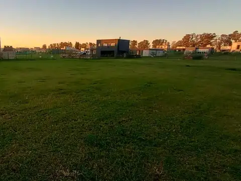 Excelente Terreno en venta de 528m2 ubicado en Pilar del Este Barrio Santa Elisa