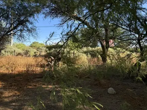 Cafayate. Pueblo Nuevo. Mza 24. Lote 100