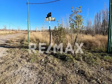 Roberto Andres Stortini