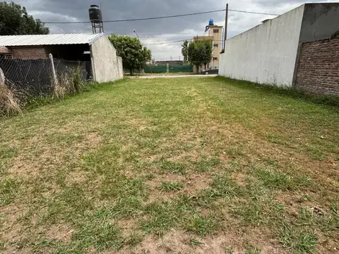 Mitre