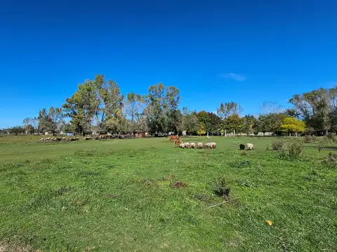 Avenida Valeria de Crotto 1000
