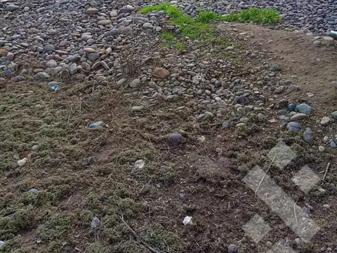 Terreno en Venta 20  mts Fondo