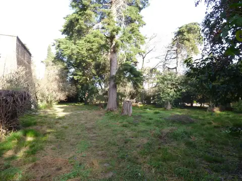 409 ( Martín Fierro  y 29 ) al 400