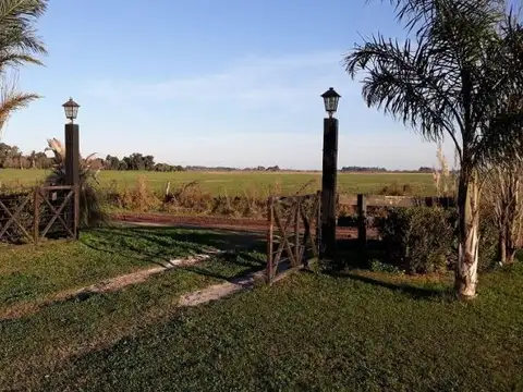 Retasado - 6 hectáreas | Campo | Camino vecinal