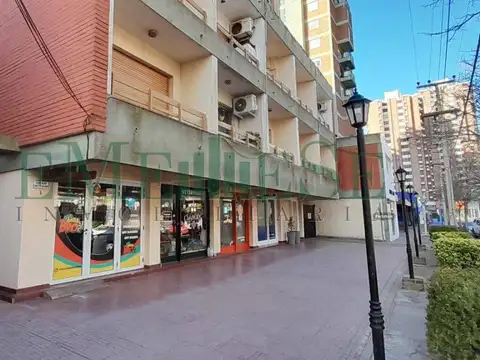 CONSTITUCION 200