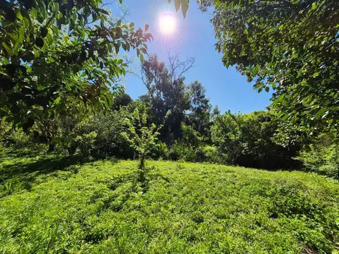 Lote excelente ubicacion en costa Sarandi 10000m2