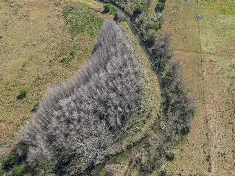 Venta chacra en Sosa Díaz, Canelones - 4,75ha