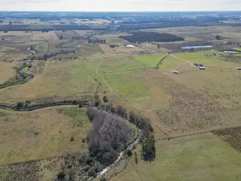 Venta chacra en Sosa Díaz, Canelones - 4,75ha