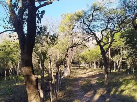 Púlica a metros de ruta Nº 14