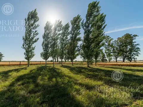 Ruta 31 - San Antonio de Areco 100