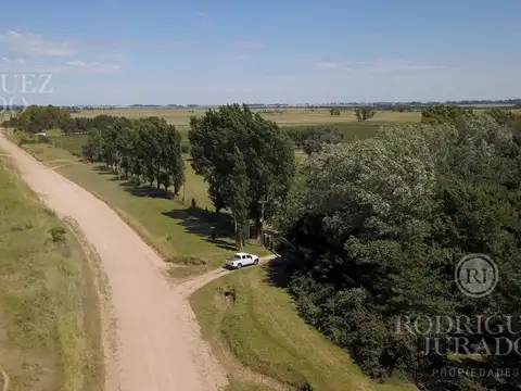 Ruta 31 - San Antonio de Areco 100