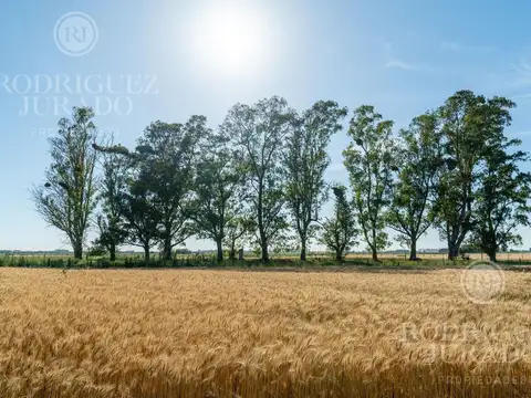 Fracción en venta de 9Ha San Antonio de Areco